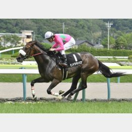 南相馬特別は3馬身半差をつけた