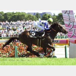 調布特別は3馬身差
