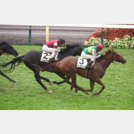 不良馬場で一千万勝ち