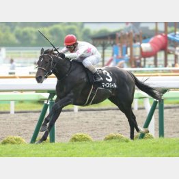 洞爺湖特別を楽々と逃げ切り