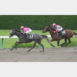 3カ月ぶりの前走が②着(右)