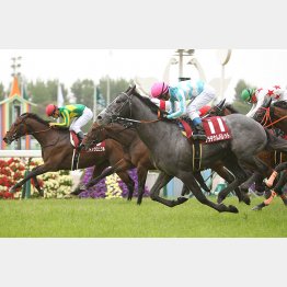 京都新聞杯で重賞勝ち