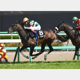 美浦Sを快勝
