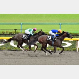 前走は降級した古馬相手の②着