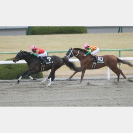 上のクラスで②着の実績がある降級馬
