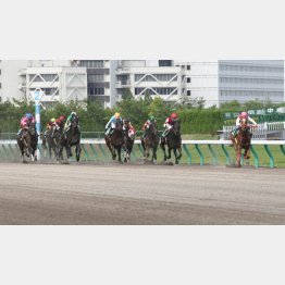 マテラスカイが驚愕のレコード