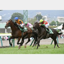 先週のハンデ重賞はドデカイ馬券になったが…