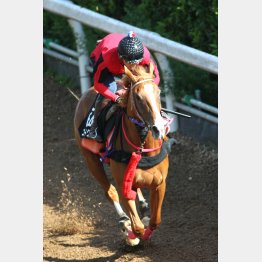 今週は馬なり