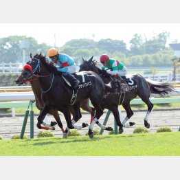 昨年は五稜郭Sを制したブラックバゴ