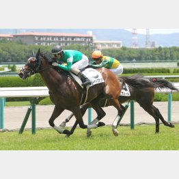 2走前は完勝だった