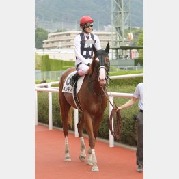素質は高い
