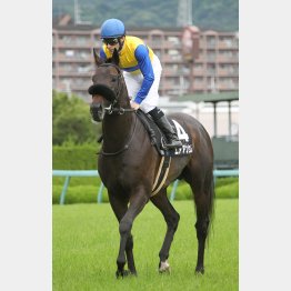 函館滞在は不安が解消した証し