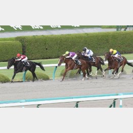 昨年9月のエニフSで②着