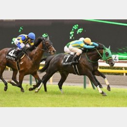ジューンSを勝ってオープン入り