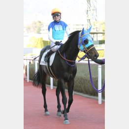 中京千二が向くアドマイヤデライト