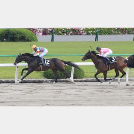 初ダートの桃山Sを快勝