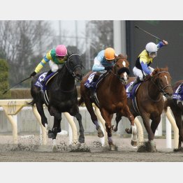 09年フェブラリーS②着のカジノドライヴ(中央)。その息子に期待