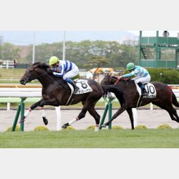 好時計でデビュー勝ち