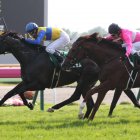 函館２歳Ｓの出走馬　数字から浮かび上がった序列はこうだ