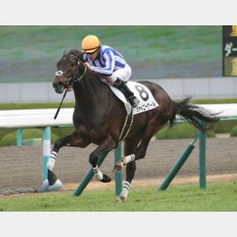ルメールで新馬勝ち