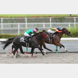 昨年の中京・尾頭橋特別を逃げ切り(右)