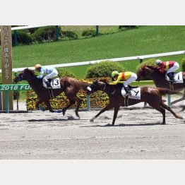 初勝利は見どころ十分