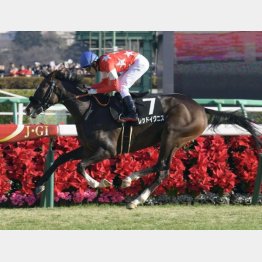 昨暮れにノエル賞を快勝
