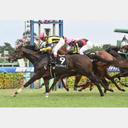外房特別を差し切り