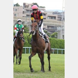 素質は高い