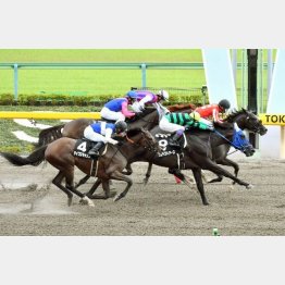 清里特別は頭差