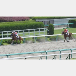 2走前の未勝利が圧勝だったダノンフォワード