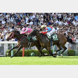 昨年①着ラインミーティアはシリーズ制覇