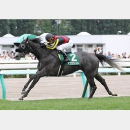 昨年はアエロリットが逃げ切り