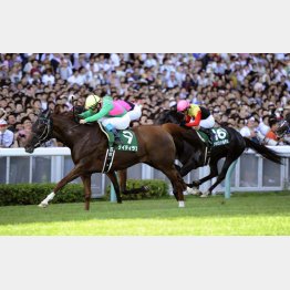 10年は8番人気ケイティラブが勝って大穴に