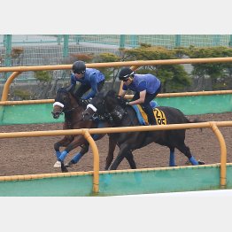 最後まで集中力が途切れなかった