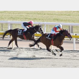 2月に春麗ジャンプS勝ち