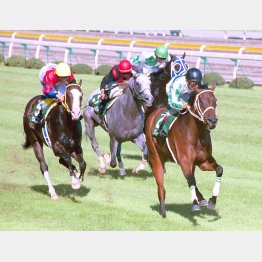 振り返れば第1回の勝ち馬メジロダーリングも…