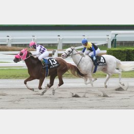 昨夏の小倉では天草特別勝ち