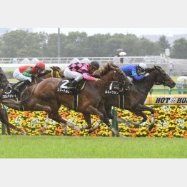 テレ玉杯を上がり3F33秒3で差し切った