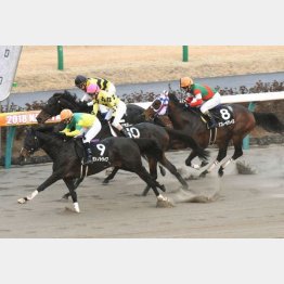 中山新春ジャンプSを差し切り