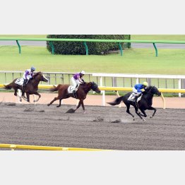 土曜小倉８ｒ 小倉サマージャンプ 将来性十分アグリッパーバイオ大物食いだ 日刊ゲンダイ競馬