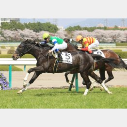 3月の阪神で現級勝ち