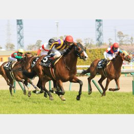 3月の中京五百万勝ちは好内容