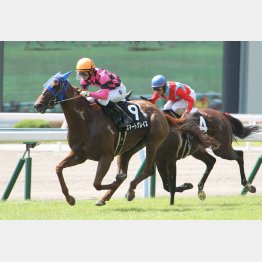 昨夏の戸畑特別が1分7秒5の好時計勝ち