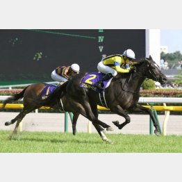 オークス以来のVを