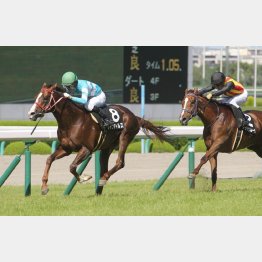 水無月Sを逃げ切り勝ち
