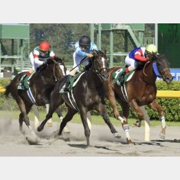 昨年は1番人気エピカリスが③着で80万馬券に