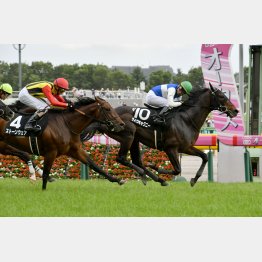 コンビ2戦目のメイSで②着