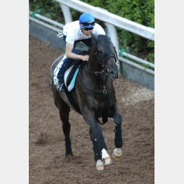 輸送を考慮して馬なり調整
