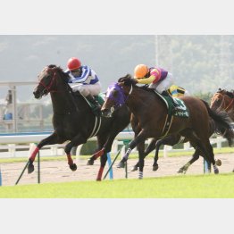 09年は8歳馬の16番人気ダンスアジョイが勝つ大番狂わせ
